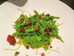 -羊门客在·烤盐池滩羊·川菜