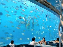 -瑞德姆美人鱼海底演艺主题餐厅(亚龙湾店)