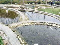 -活水公园