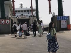 -枸杞岛