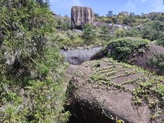-玉苍山国家森林公园