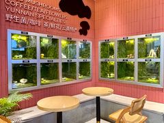 -芸山季·云南野生菌火锅(宝能环球汇店)