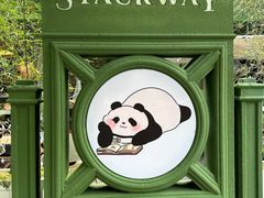 -轩客会(熊猫书店)