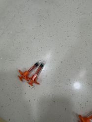 -上海首尔丽格医疗美容医院