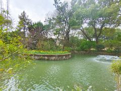 -上海醉白池公园