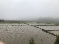 -南泥湾风景区