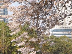 -红星桥(地铁站)
