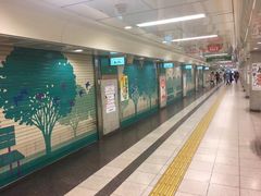 -名古屋城
