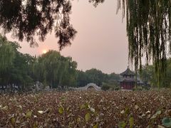 -莲池书院博物馆