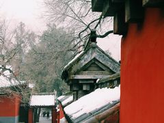 -少林寺欢喜地素斋馆