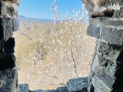 -蟠龙山长城景区