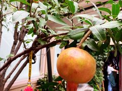 -后海16号·北京私房菜