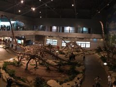 -自贡恐龙博物馆