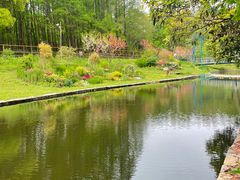 -上海共青森林公园