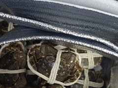 -阳澄湖大闸蟹·琼灵阁牌品牌连锁(吴中总店)