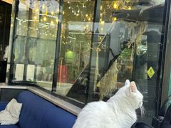 -弓舍射箭俱乐部(高新总店)