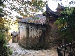 -杨家堂村