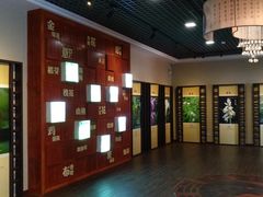 -广州神农草堂中医药博物馆