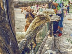 -西安秦岭野生动物园