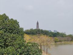 -顺峰山公园