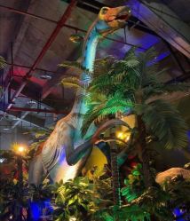 -恐龙探索乐园(磁器口店)