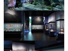 -重庆中国三峡博物馆(重庆博物馆)