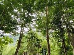 -阿坝州汶川特别旅游区