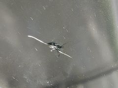 -鲨鱼皮汽车凹陷玻璃修复(静安店)