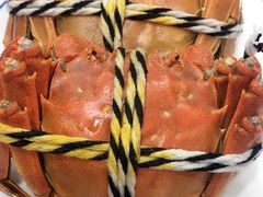 -小陆莲花蟹园农家乐(莲花岛店)