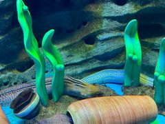 -石家庄市动物园