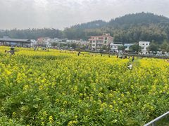 -红山村