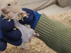 -怪兽屋·羊驼·猫咖·狗咖(俊华广场店)