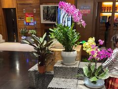 -黔蘑菇四季餐厅(观山湖店)