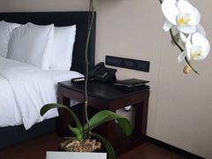 -上海璞麗酒店
