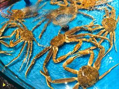 -舌尖上·霞浦滩涂海鲜·新闽菜(总店)
