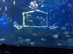 -多彩贵州城极地海洋世界