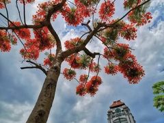 -厦门大学(思明校区)