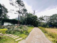 -南宁良凤江国家森林公园