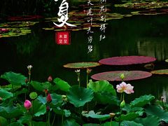 -国家植物园南园