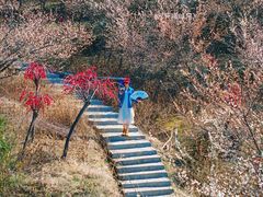 -天姥山