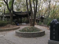 -上海佘山国家森林公园天马山园