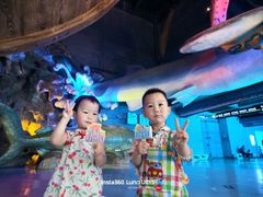 -泉城欧乐堡海洋极地世界