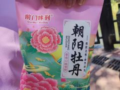 -太阳宫公园