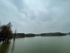 -海珠湖公园
