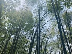 -西湖风景区十里琅珰-五云山
