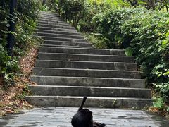 -燕晗山郊野公园