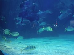 -常州海昌海洋探索馆