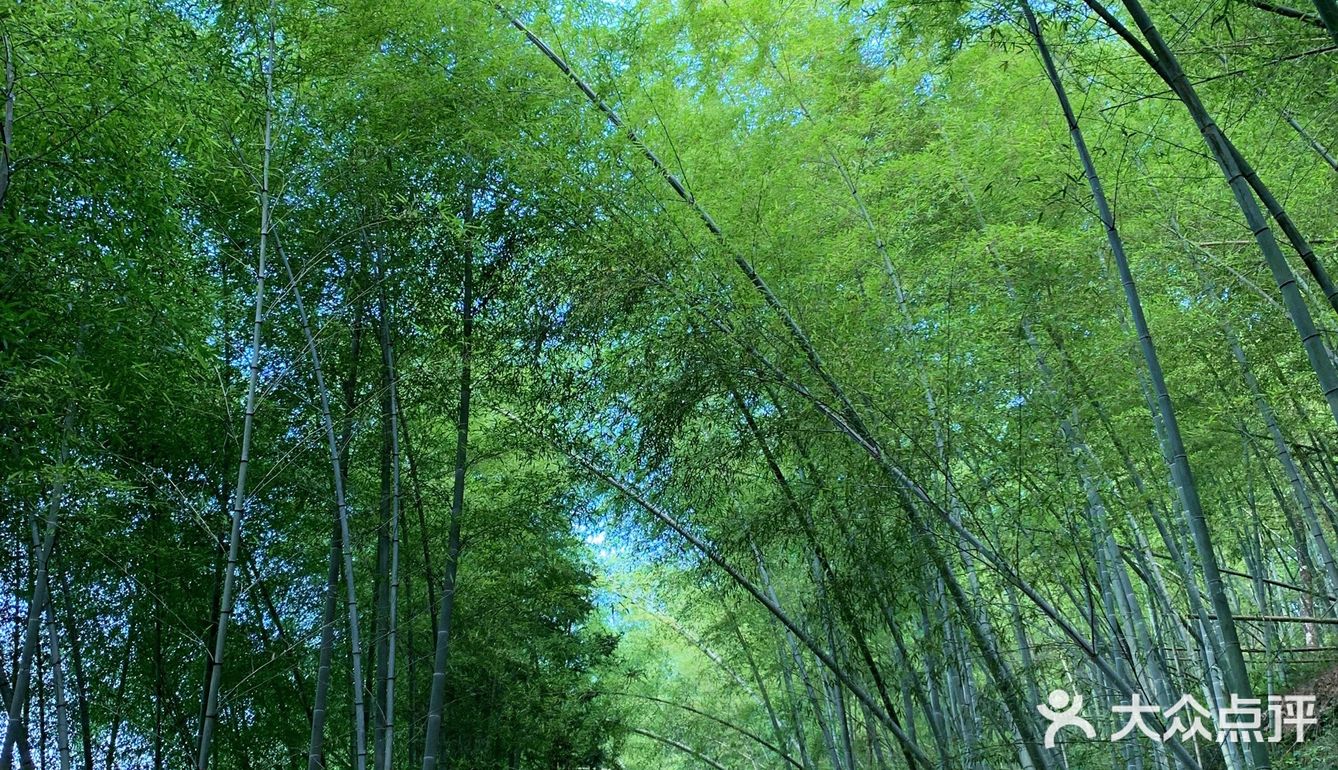 简直超越了我的极限