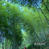 简直超越了我的极限