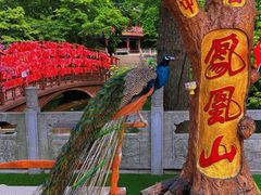 -丹东凤凰山景区